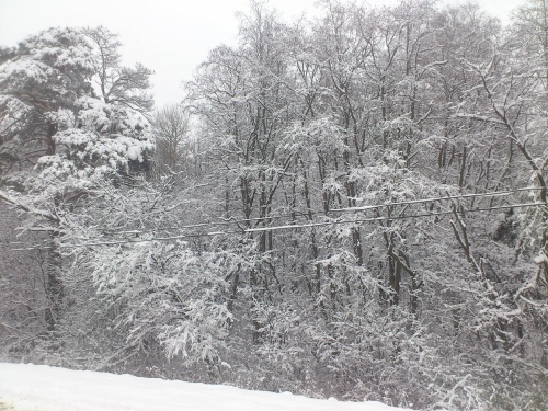 Wintereinbruch am Ende unserer Zeit in Russland